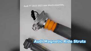Audi TT A3 S3 RS3 magnetische veerpoten
