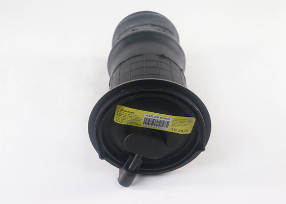 Achterste luchtophanging voor 1995-2002 Land Rover Range Rover P38A Vervangt RKB101460E