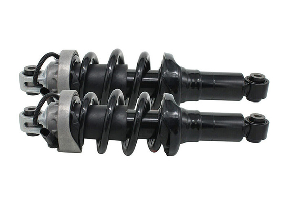 Het Absorptievat van 420412019AG 420412020AG Front Coil Spring Strut Shock voor Audi R8 2007-2015